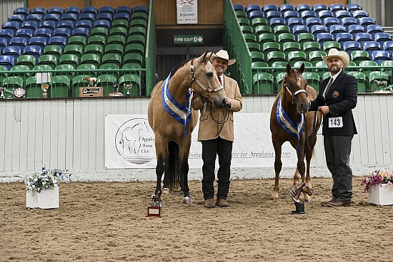 (02) Appaloosa Breed Show - Moreton Morell 2024